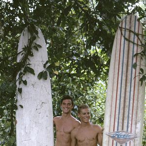 Bilder The Endless Summer