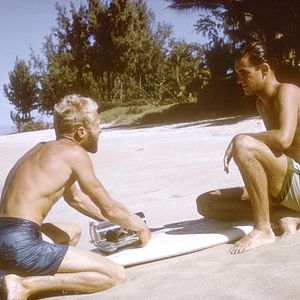 Bilder The Endless Summer