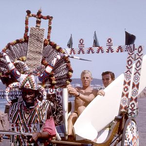 Bilder The Endless Summer