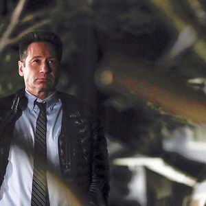 Bilder David Duchovny