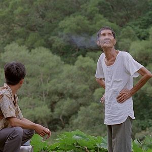 Bilder Dust in the Wind