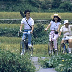 Bilder The Green, Green Grass of Home