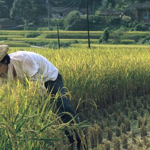 Bilder The Green, Green Grass of Home