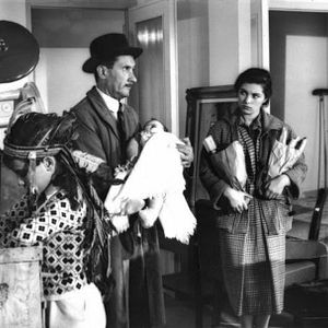 Bilder Sonne in den Augen