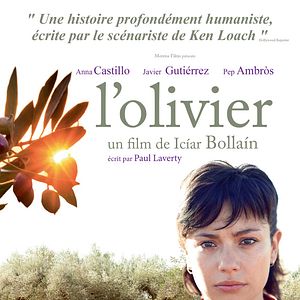 Bilder El Olivo - Der Olivenbaum