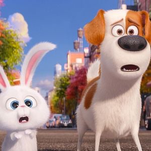Pets - Film 2016 - FILMSTARTS.de
