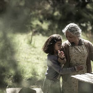 Bilder Nancy Brunning