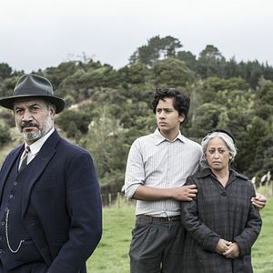 Bilder Nancy Brunning