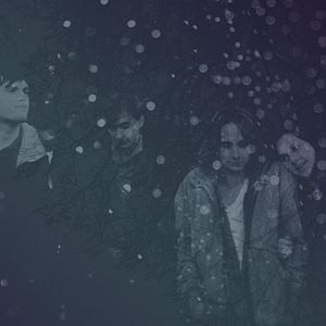 Bilder In the Treetops