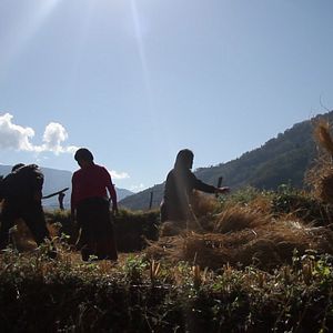 Bilder The Farmer And I