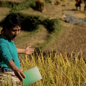 Bilder The Farmer And I