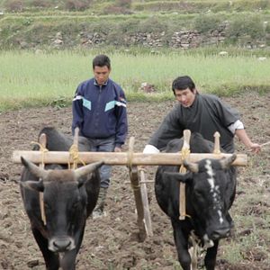 Bilder The Farmer And I