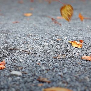 Bilder Multiple Schicksale