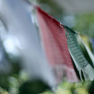 Bilder Multiple Schicksale