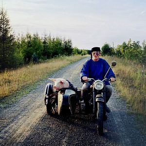 Bilder Die letzte Sau