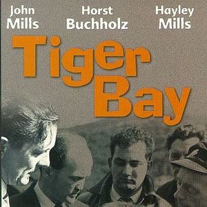 Bilder Tiger-Bay