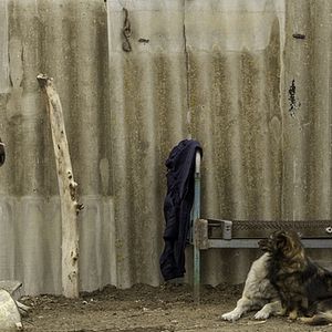 Bilder I sogni del lago salato