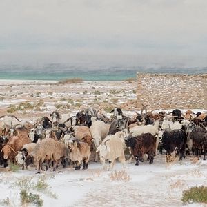 Bilder I sogni del lago salato