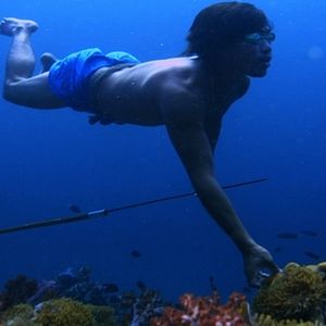 Bilder No Word for Worry