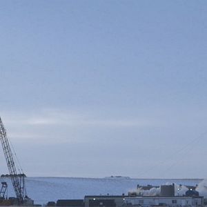 Bilder Black Harvest