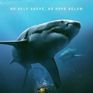 Bilder 47 Meters Down