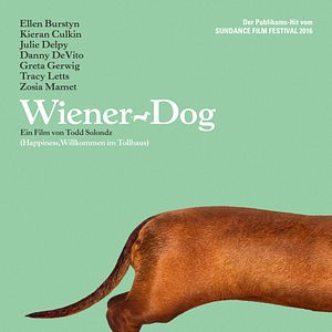 Bilder Wiener Dog