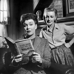 Bilder Was der Himmel erlaubt