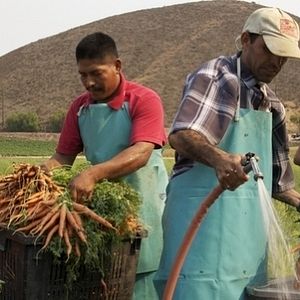 Bilder In Organic We Trust