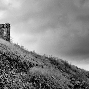 Bilder Metamorphosen