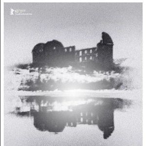 Bilder Metamorphosen