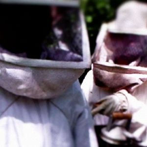 Bilder O Veneno está na Mesa 2