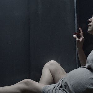 Bilder Galloping Mind