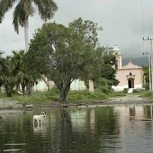 Bilder Los reyes del pueblo que no existe