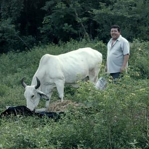 Bilder Los reyes del pueblo que no existe