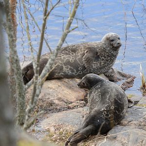 Bilder Der magische See - Tale Of A Lake