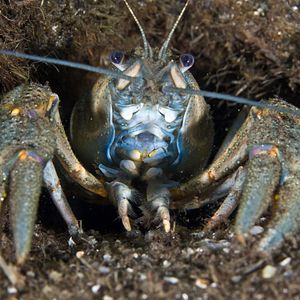 Bilder Der magische See - Tale Of A Lake