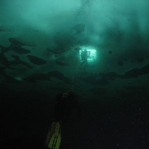 Bilder Der magische See - Tale Of A Lake