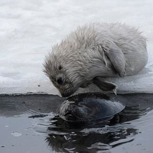 Bilder Der magische See - Tale Of A Lake