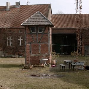 Bilder Rudolf Thome – Überall Blumen