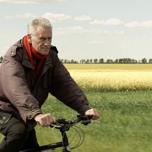 Bilder Rudolf Thome – Überall Blumen