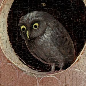 Bilder Hieronymus Bosch - Schöpfer der Teufel