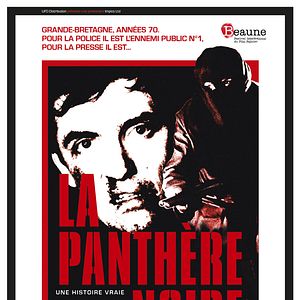 Bilder The Black Panther