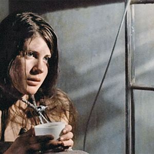 Bilder The Black Panther