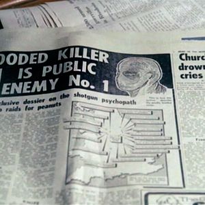 Bilder The Black Panther