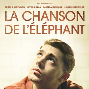 Bilder Elephant Song