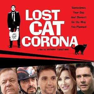 Bilder Lost Cat Corona