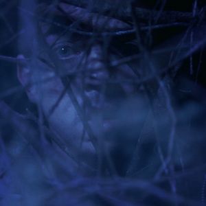 Bilder Si la photo est bonne