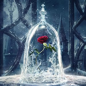 Bilder Die Schöne und das Biest