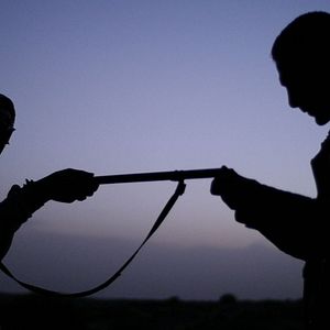 Bilder The Night and the Kid