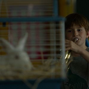 Bilder Die Grundschullehrerin